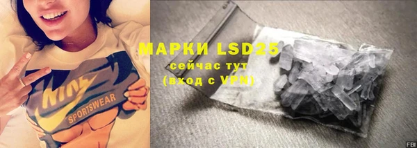 ALPHA PVP Инсар