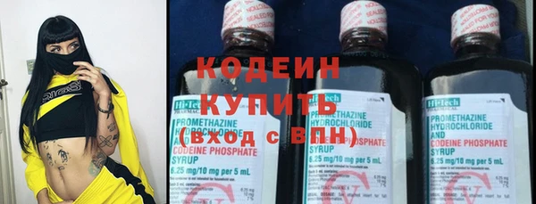 ешки Иннополис