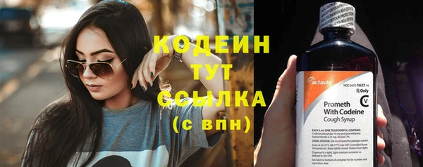 PSILOCYBIN Инта