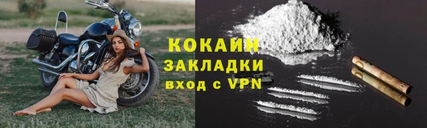 PSILOCYBIN Инта