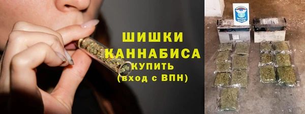 ALPHA PVP Инсар