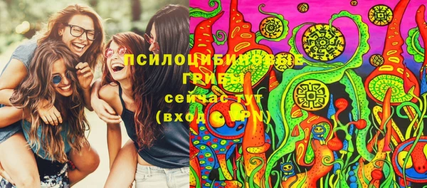 ALPHA PVP Инсар