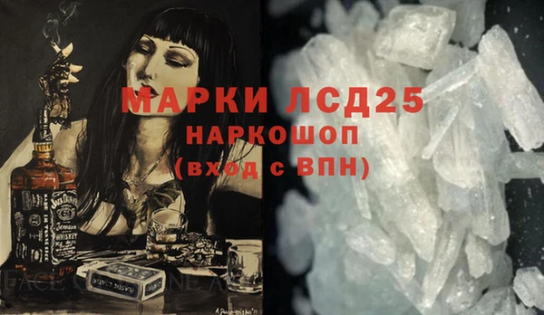 PSILOCYBIN Инта