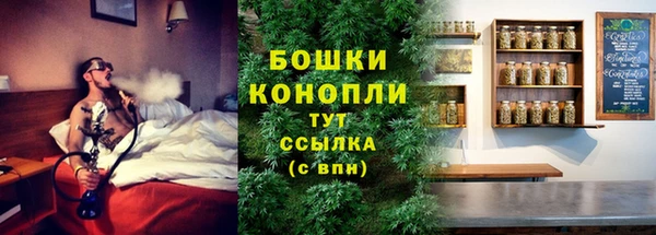 PSILOCYBIN Инта