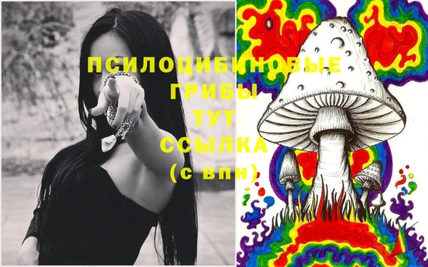 PSILOCYBIN Инта
