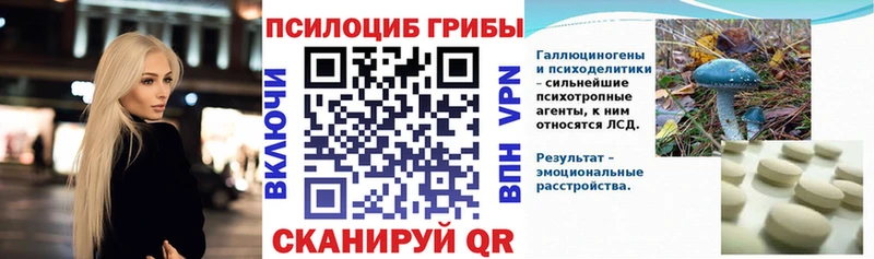 сколько стоит  Щёкино  Галлюциногенные грибы Psilocybine cubensis 